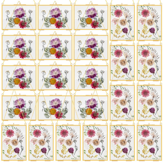 Barydat 12 Pack Pressed Flowers Glass Frames, 5 x 7 Inch Brass Hanging Floating Frame with Chain, Double Glass Photo Display for Dried Flowers, Plant Specimen, Artwork Display (Gold)