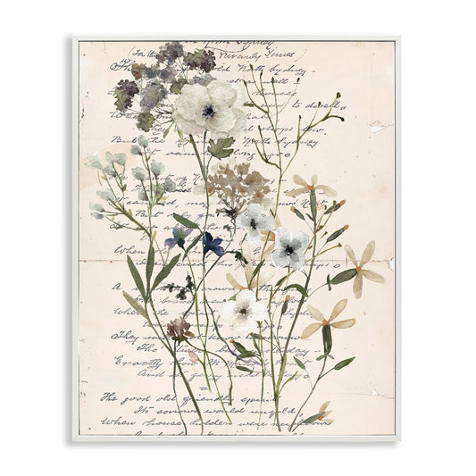 Stupell Industries Vintage Pressed Flowers White Framed Giclee Wall Art Design by Carol Robinson, 11 x 14