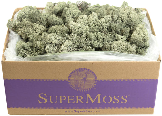 SuperMoss (25115) Reindeer Moss Preserved, Moss Green, 3lbs
