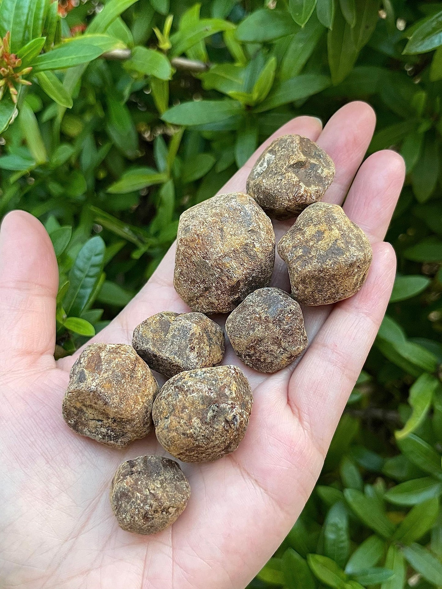 GAF TREASURES Wholesale Raw Garnet Crystals, Natural Garnet Stone, Natural Rough Garnet Crystals, Garnet Rough, Garnet Healing Crystals (Garnet, 0.5 Pound)