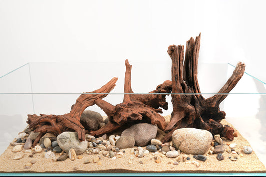 LANDEN Panna Natural Driftwood for Aquarium Decor Freshwater Fish Tank(12-16 inches, 30-40cm) 4pcs Terrariums Vivariums Reptile and Amphibian Enclosures Lizard Bearded Dragon Tortoise Various Shapes
