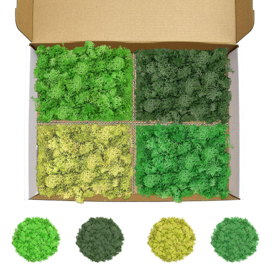 TCYPUHL Preserved Reindeer Moss Set, 14 oz, Green, Dark Green, Yellow Green and Emerald Green Craft Moss for Potted Plants, Fairy Gardens, DIY Wall Art, Floral Arrangements and Holiday Table Decor